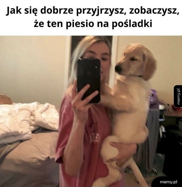 c021e6dc-75f6-4e16-ad13-96d2fd003e56