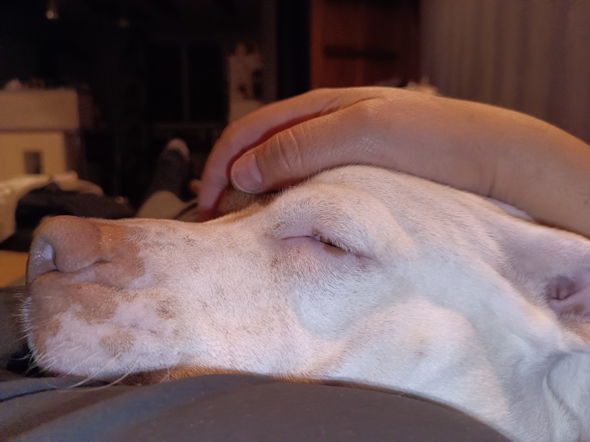 79f28f93-2414-41dc-affa-8a966573e172