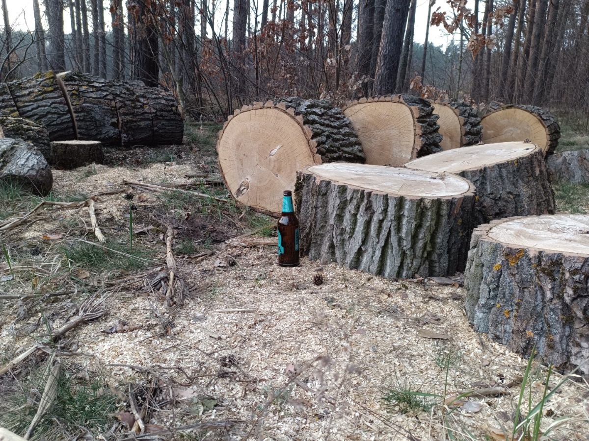 147e06fc-4272-486b-8a54-59e8aaa752d5