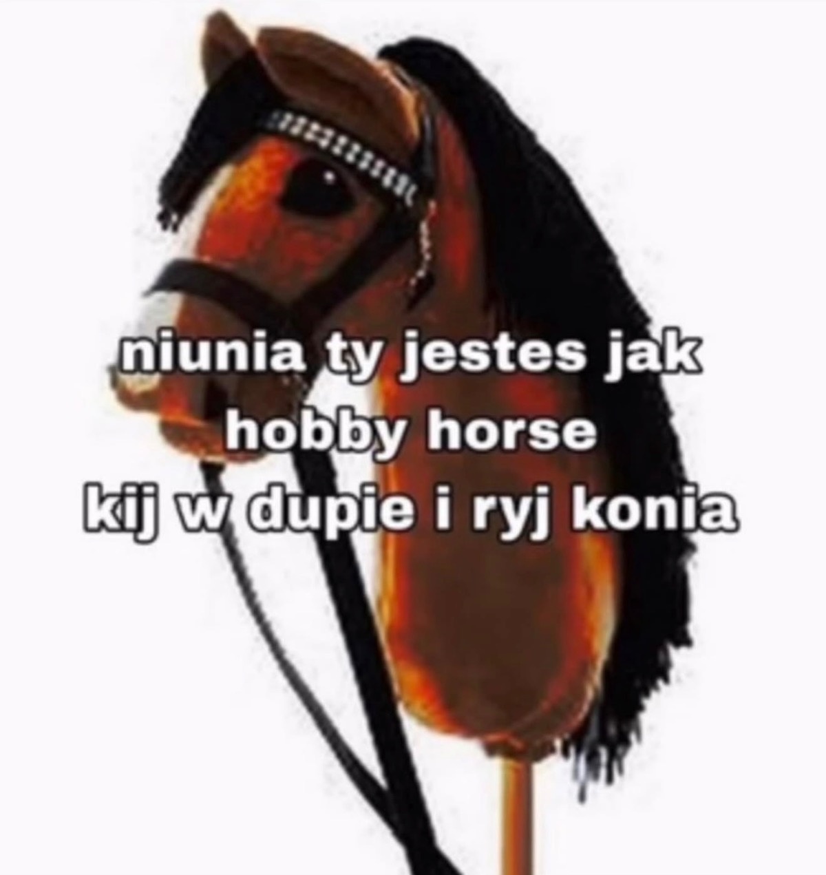 6cf03acf-c44e-4c7b-96c6-2bb0ef57b1b9