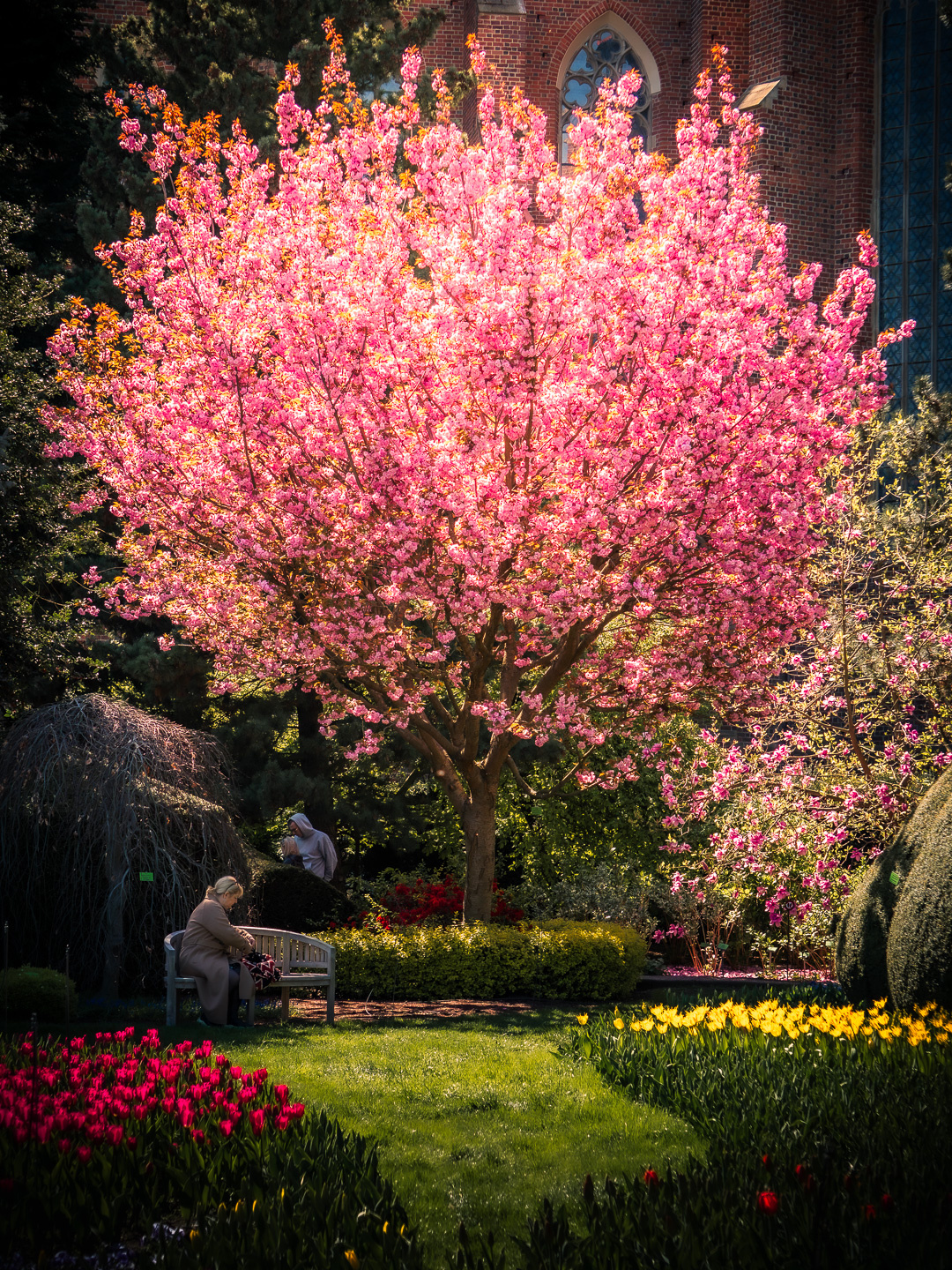 aedd825d-c8d3-4c2f-8cb4-a70a4ff0d6f0