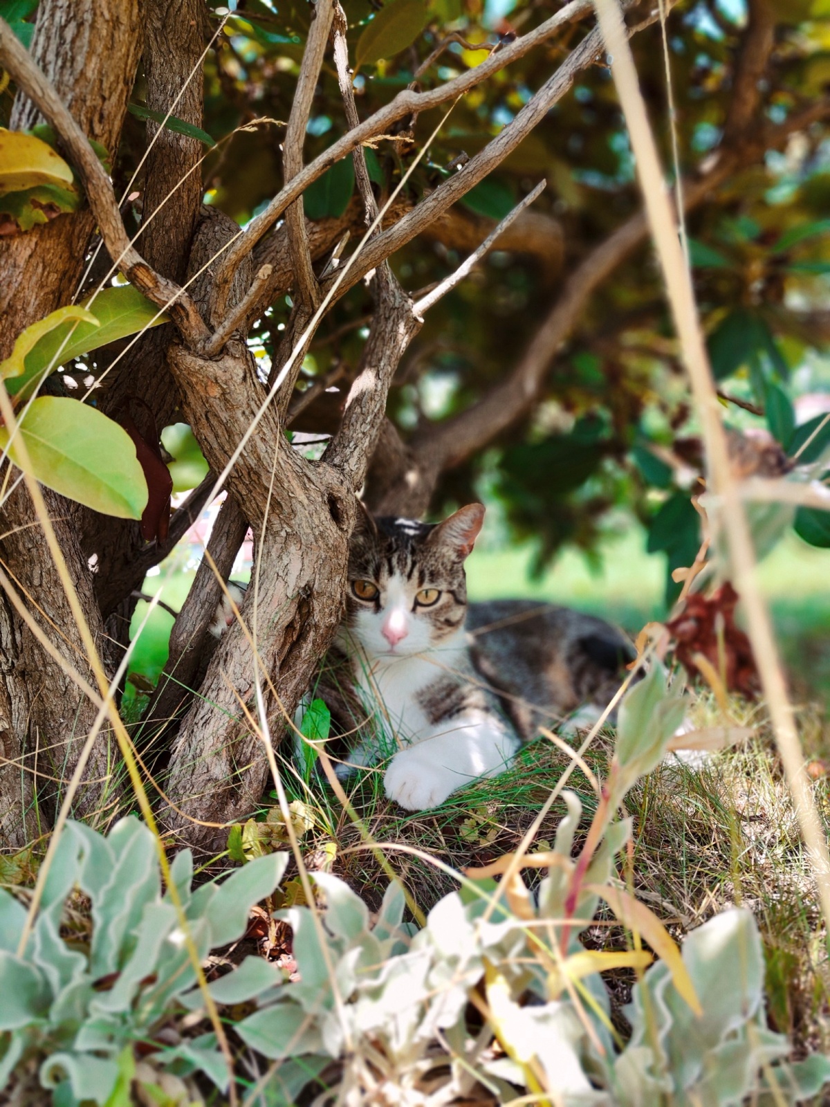 1a8ffd24-99ef-4ca7-822c-8332c1b63273