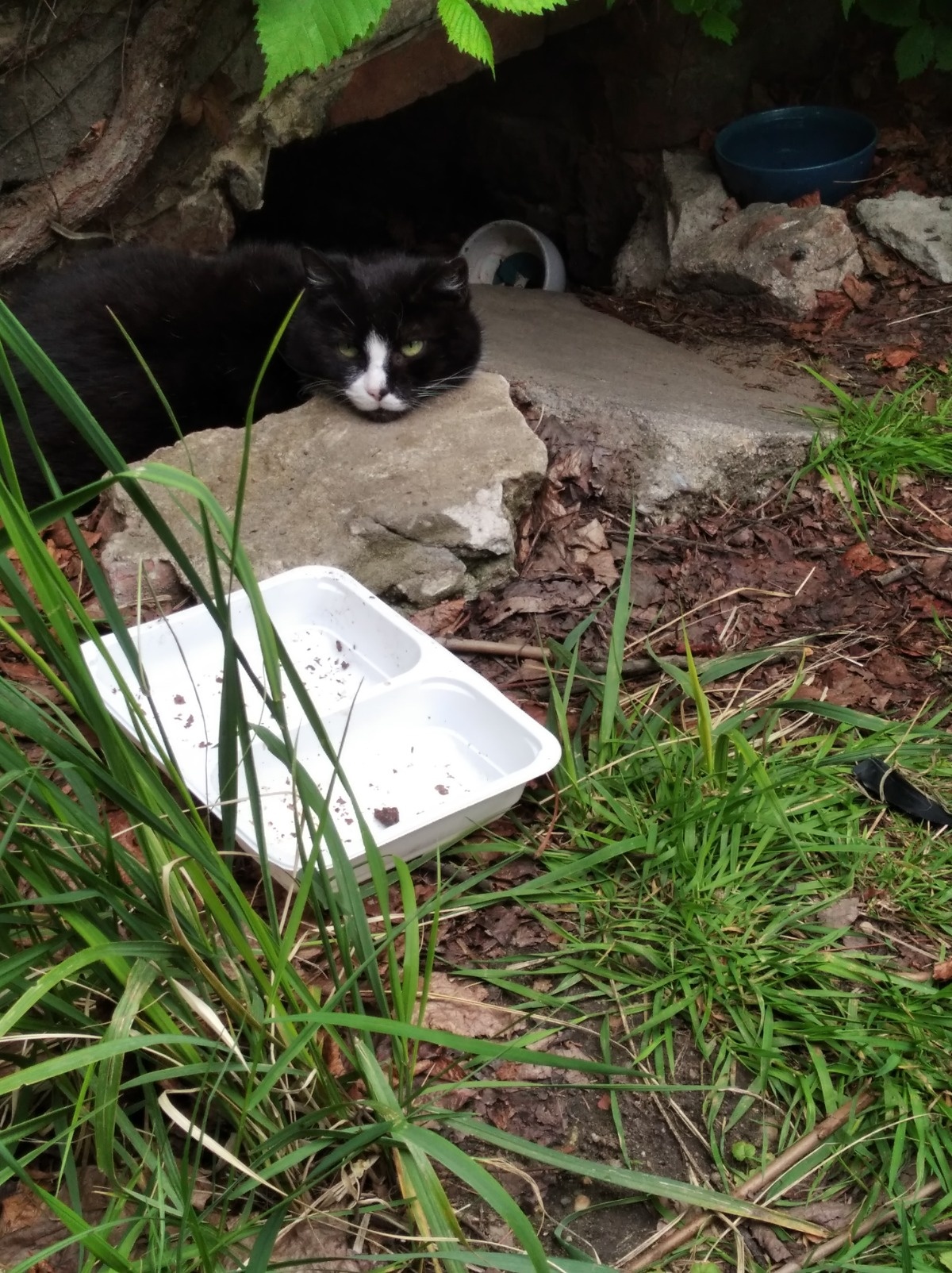 64a10182-4828-4818-b927-03b594b9c501