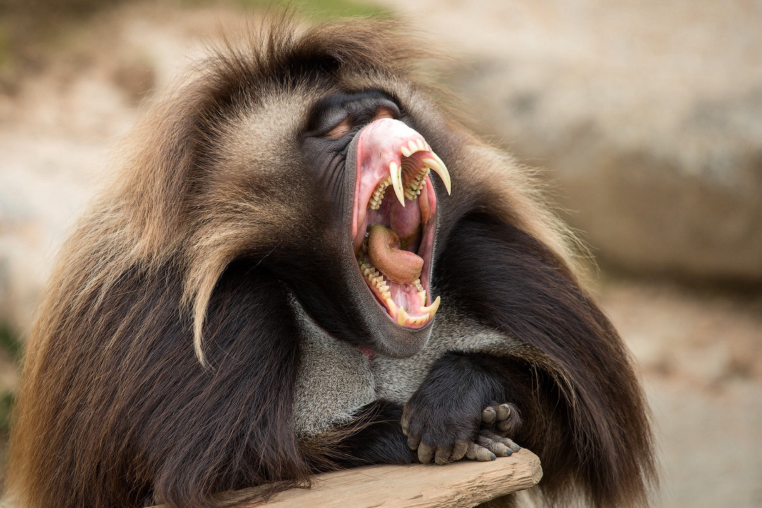 52c1f4f5-fe10-4f47-96ce-67f31b980b5e