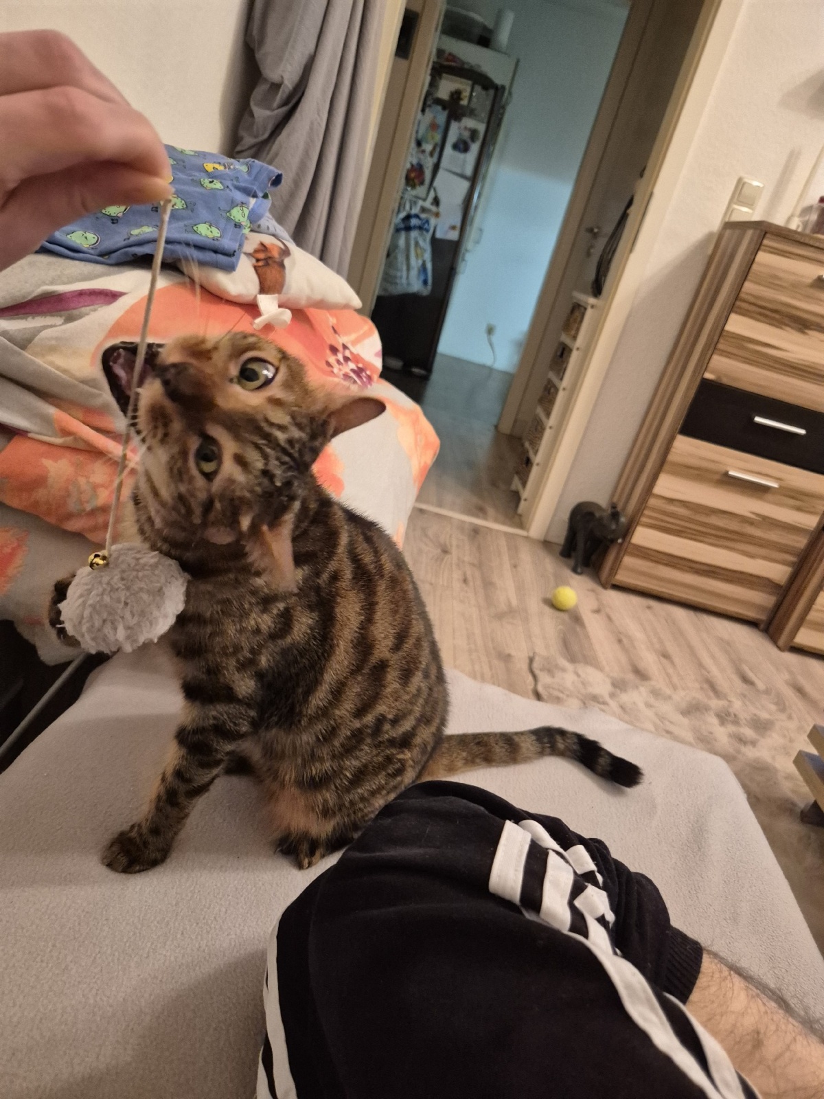 0ba86c70-9756-4d8f-b967-27623b178425