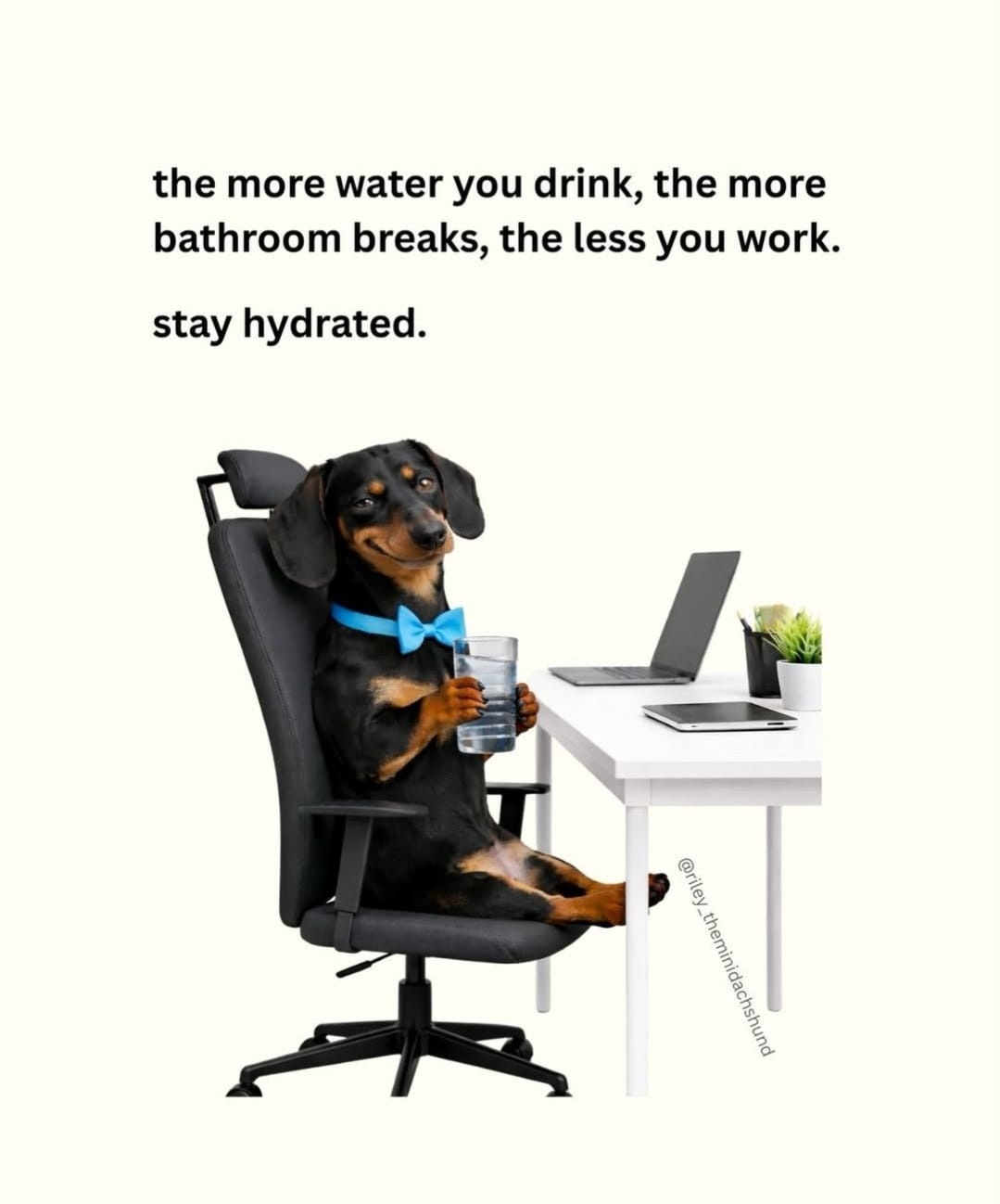 97c6fe4b-5093-4cdf-a603-f79385d0fe66