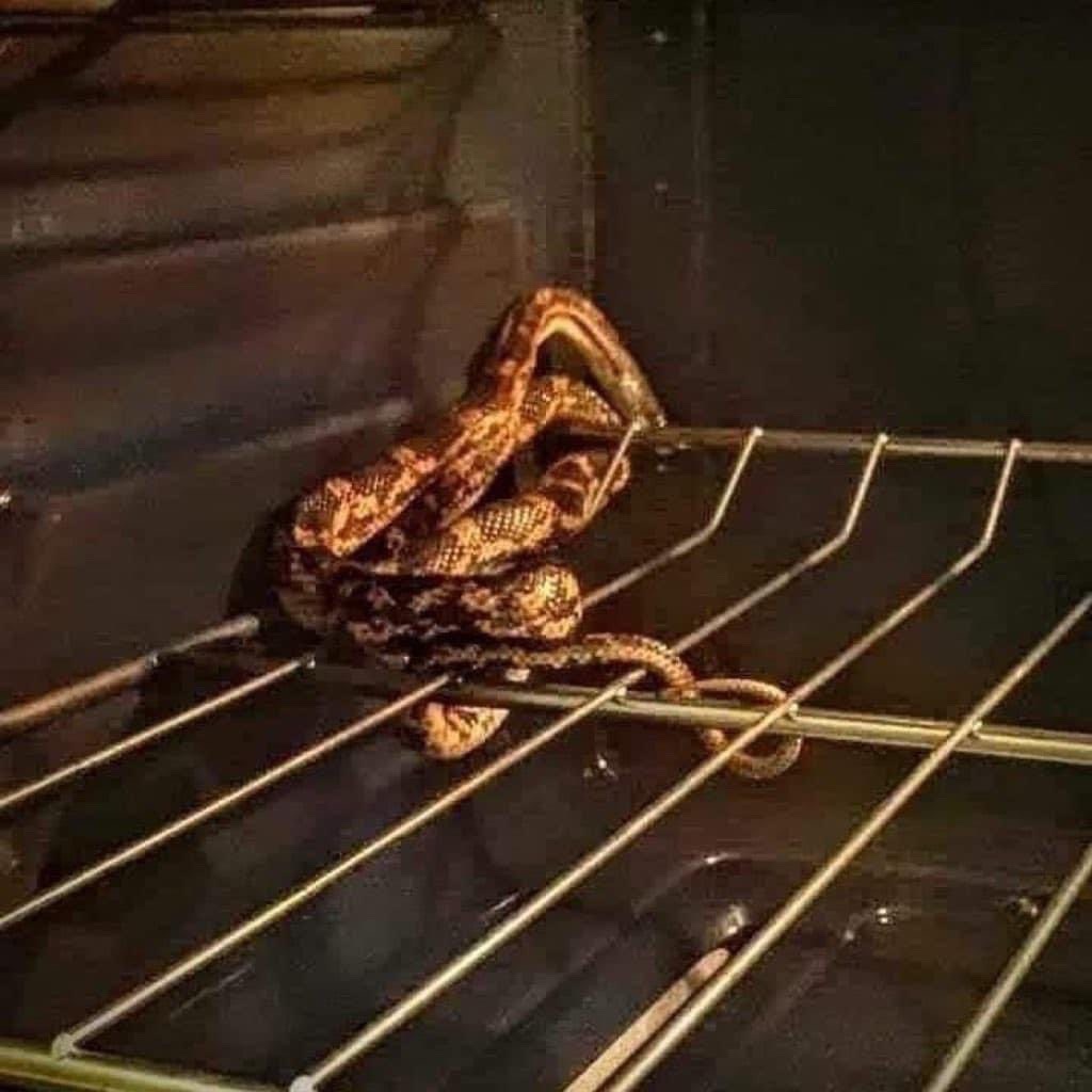 ec635245-d305-4168-8935-cec4387118a8