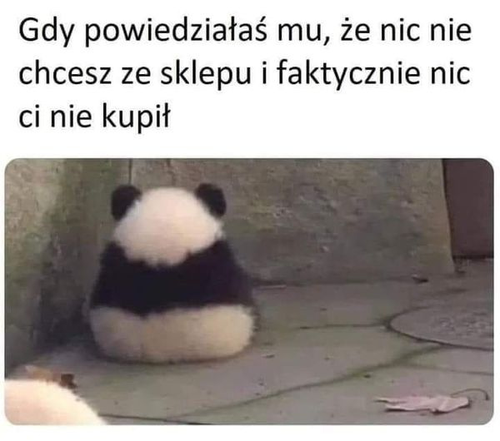 459a6f50-ac73-483d-a7ae-d083617c69b7