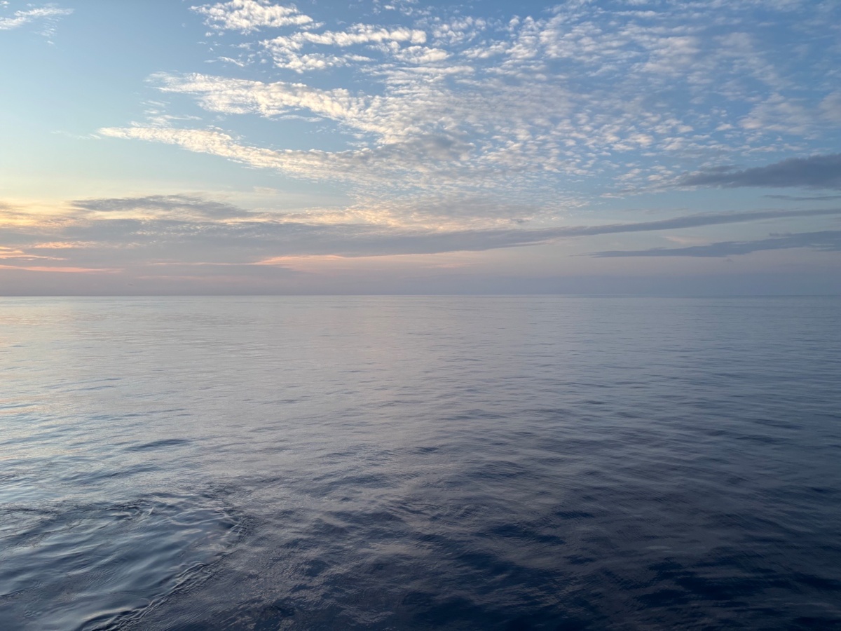 421d7501-1557-43c2-a23d-fffe83e2c3ae