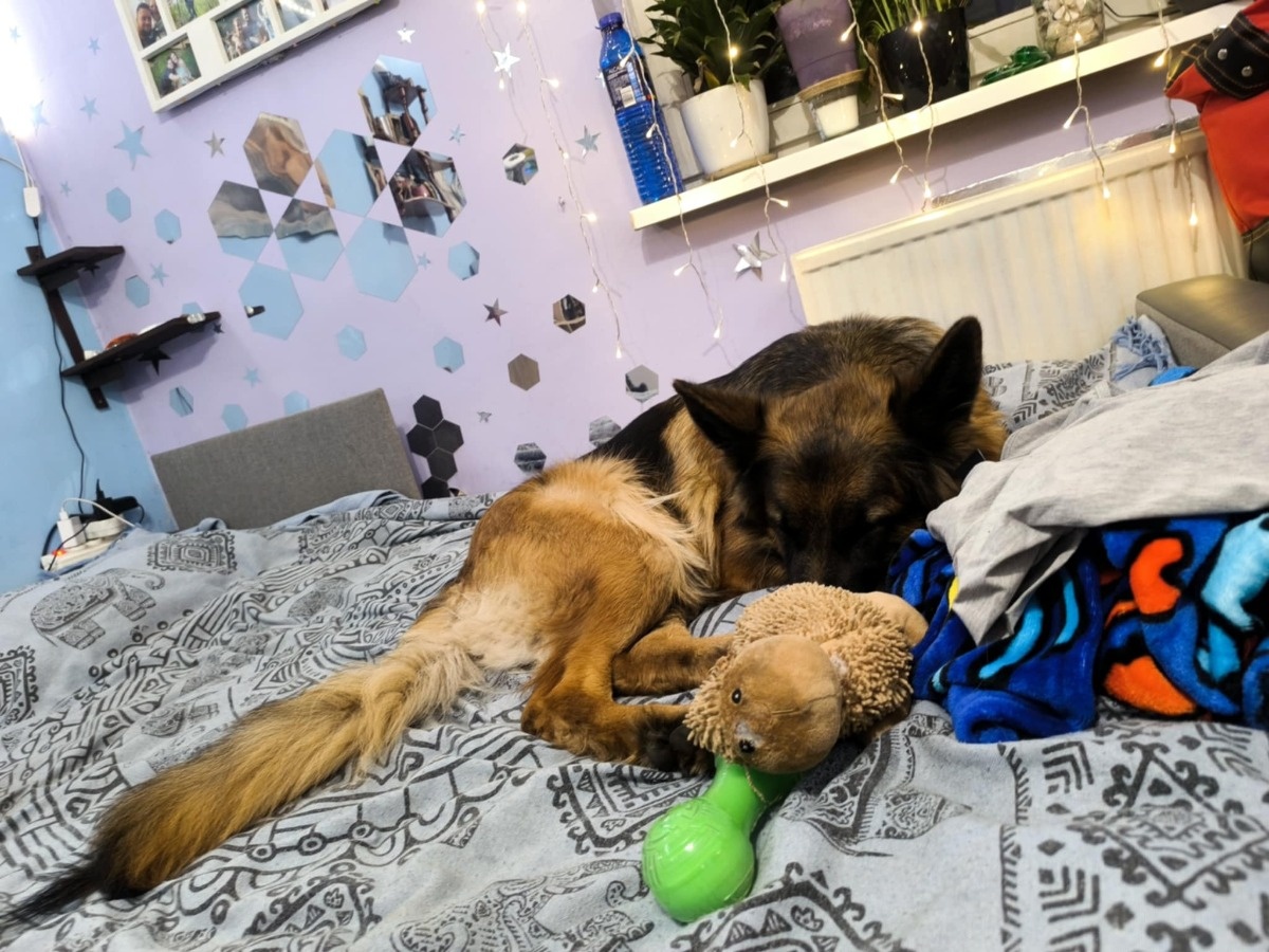 50534125-23f9-4db1-adaf-3fbbbf476f0f