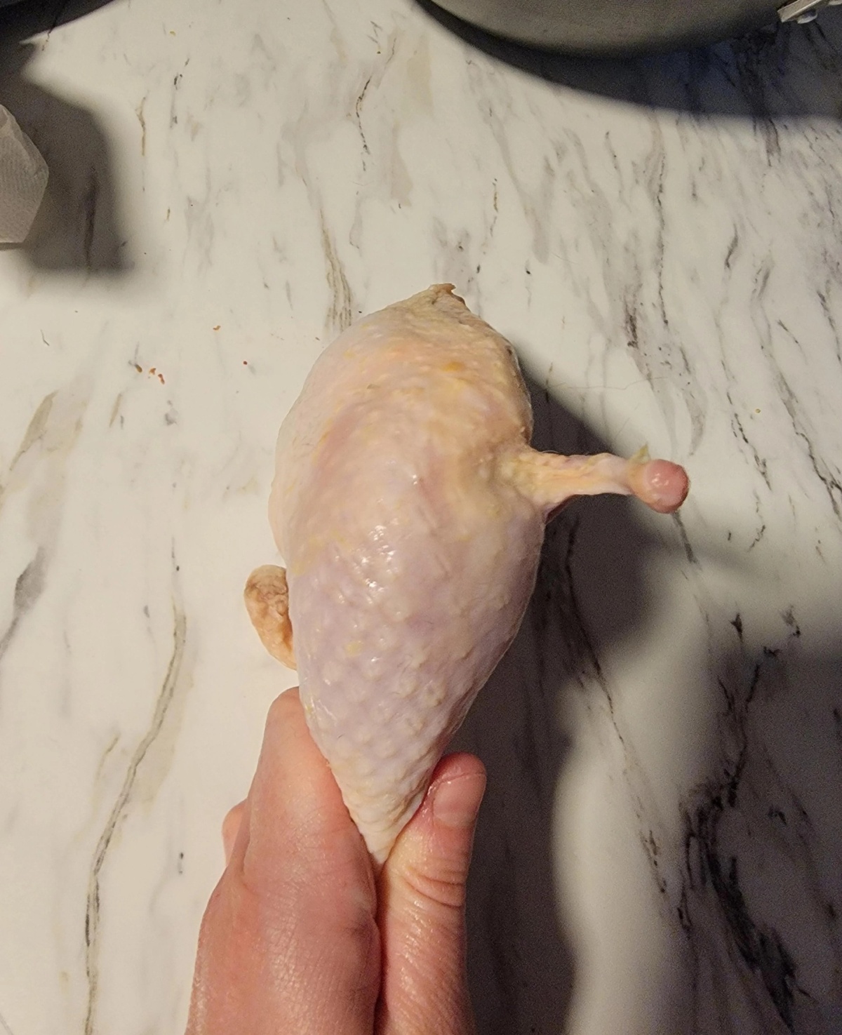 db3a8025-7042-4252-be04-fe374423a528