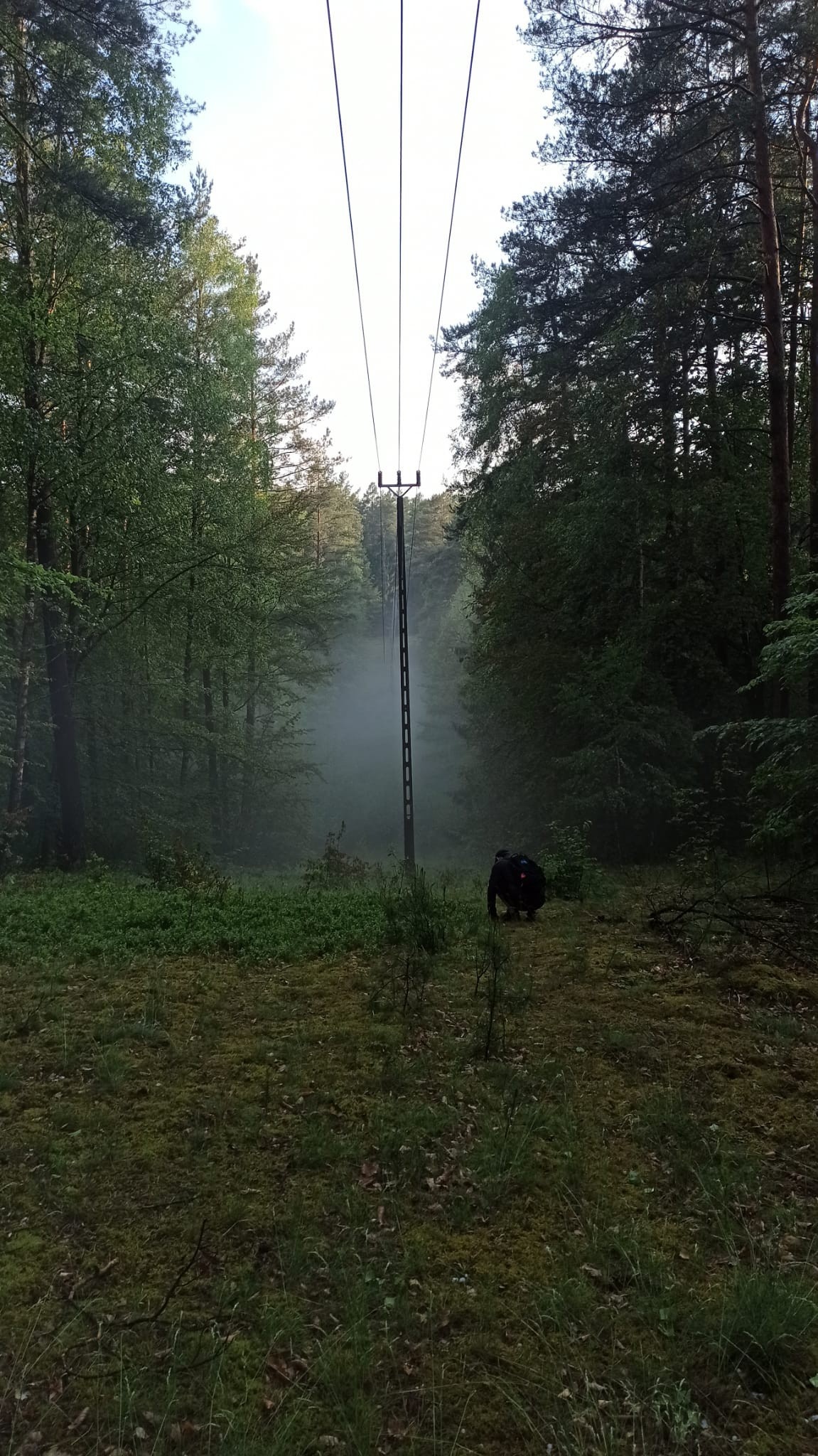 c2fecf5b-4fe1-4c24-b5eb-38fe3c48d3c7