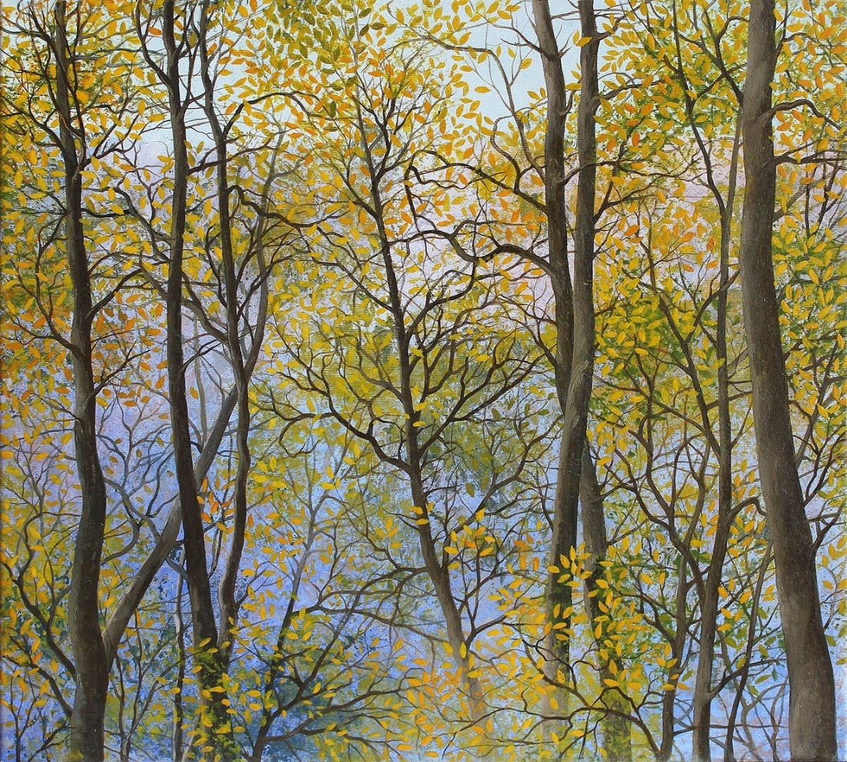 6586f85f-2a4b-4d5c-841b-8a246351e365