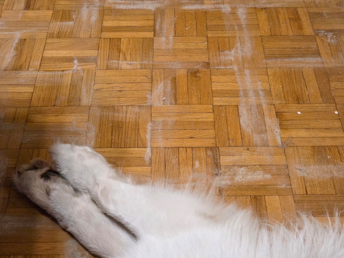 dd6da738-7d18-40b4-b3cd-e16e9f1d1893