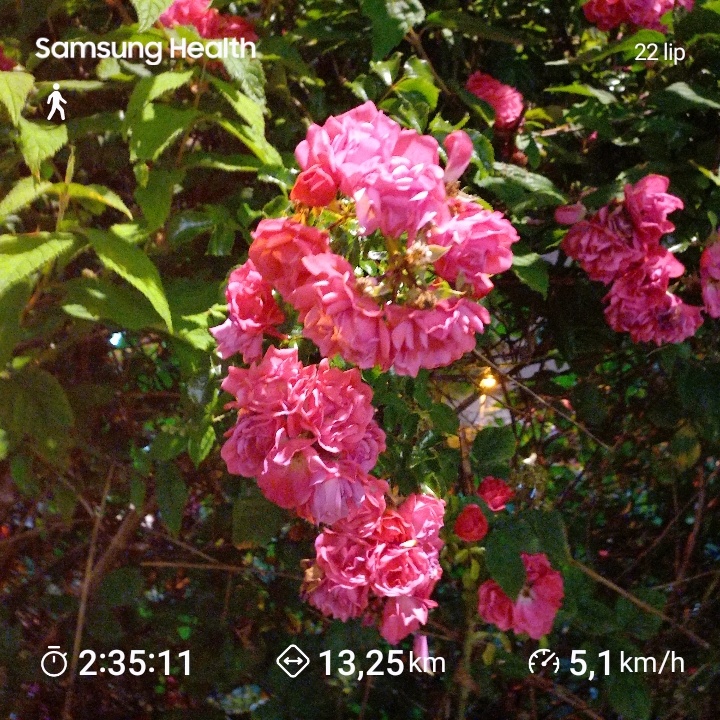 c8d40252-78c3-46d6-82e0-ee121a69cd4c