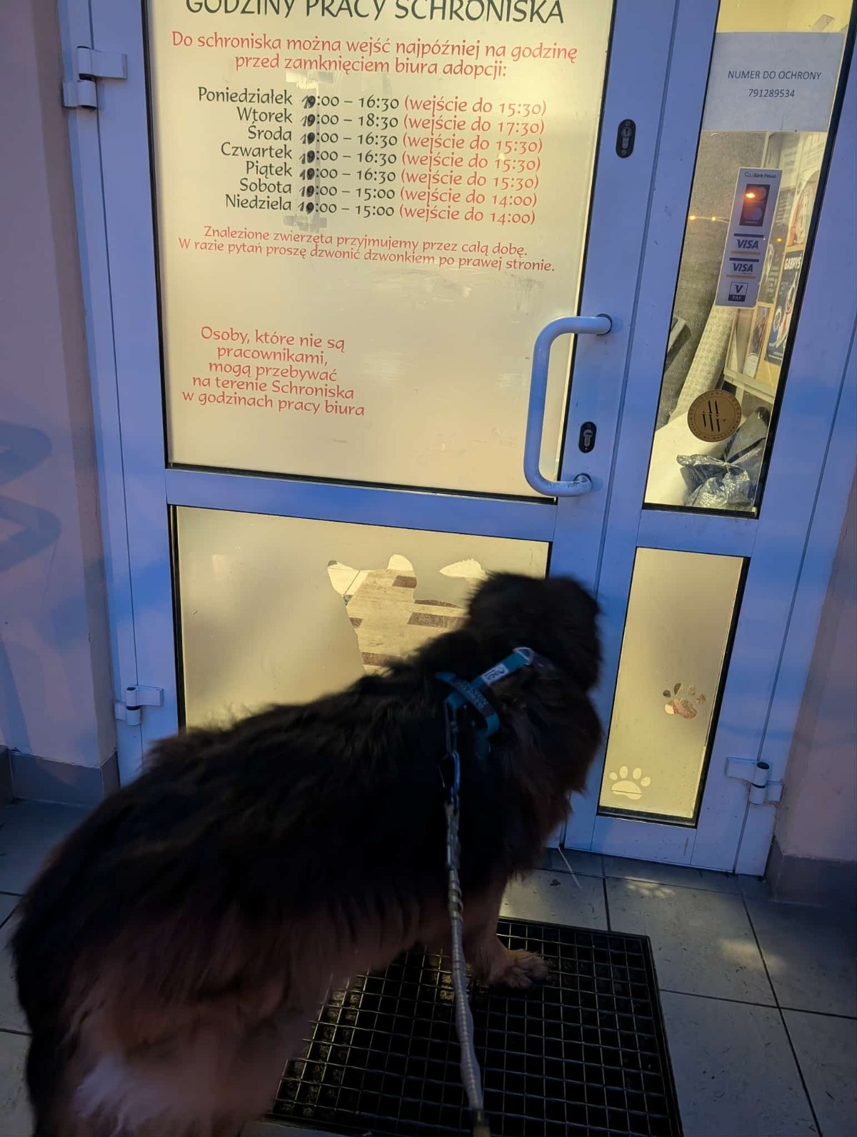 33470c34-6e6f-4bd7-a714-48ab4b7368fc