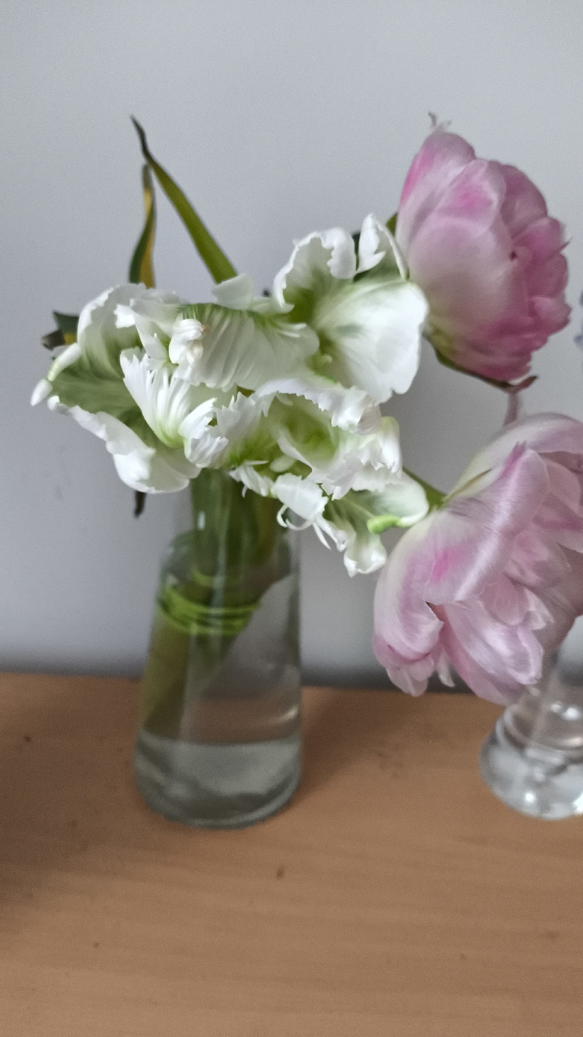 53b437f9-fe1a-4ffd-8e1d-976e2202fa92