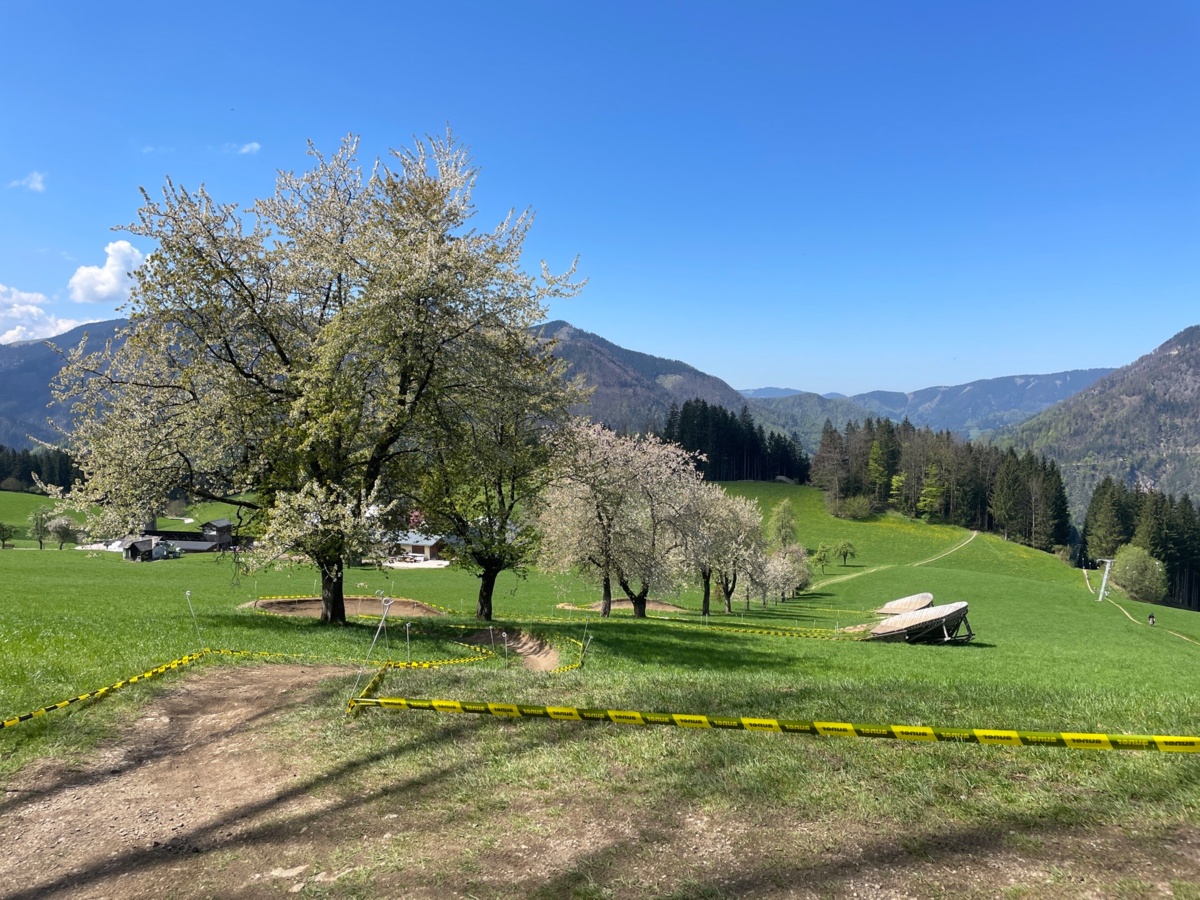 e3c58fe2-542f-48bc-8dfe-f1874e62b6cd