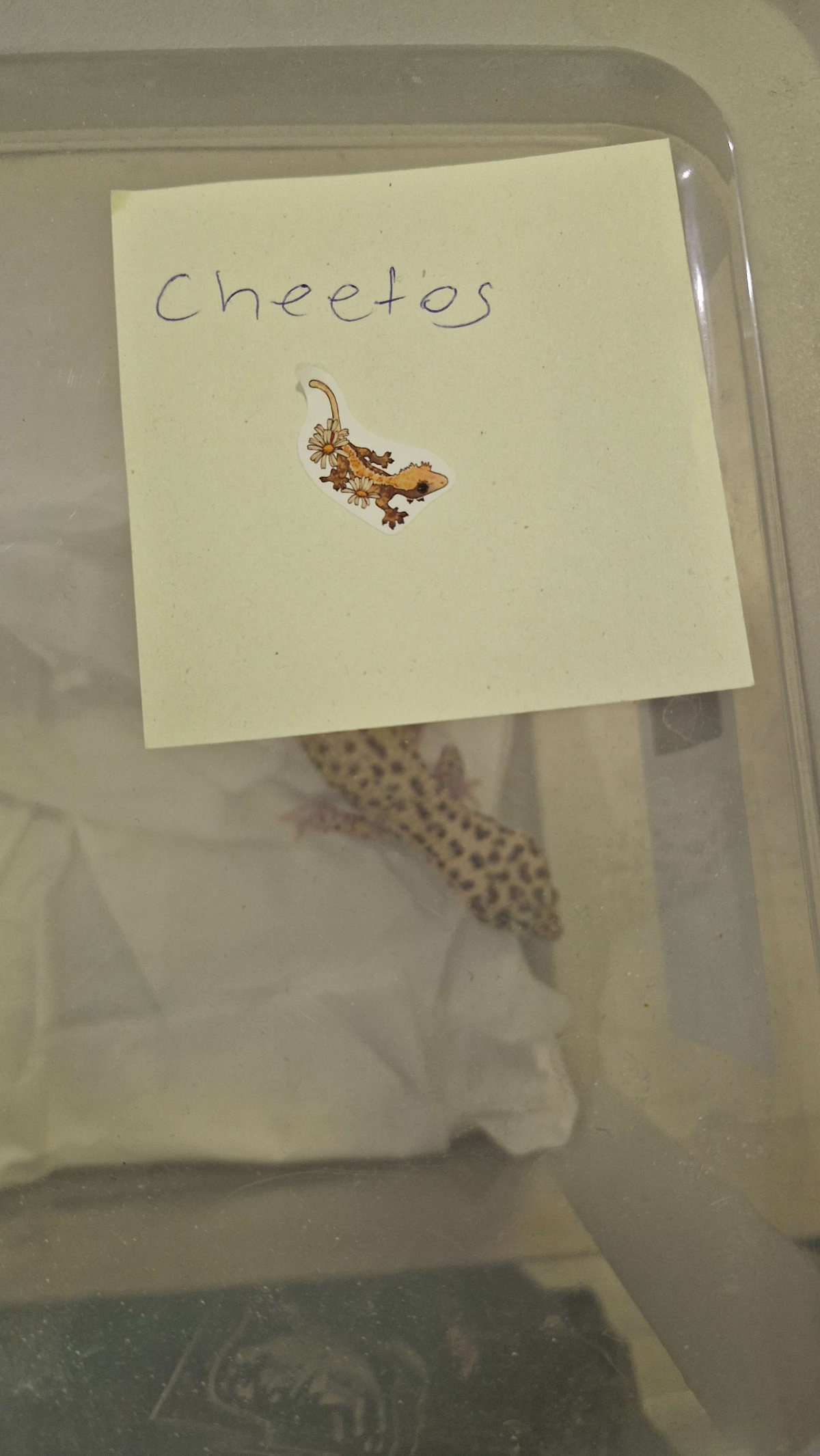 c10d7568-308a-423c-b0ca-1db2b0640792