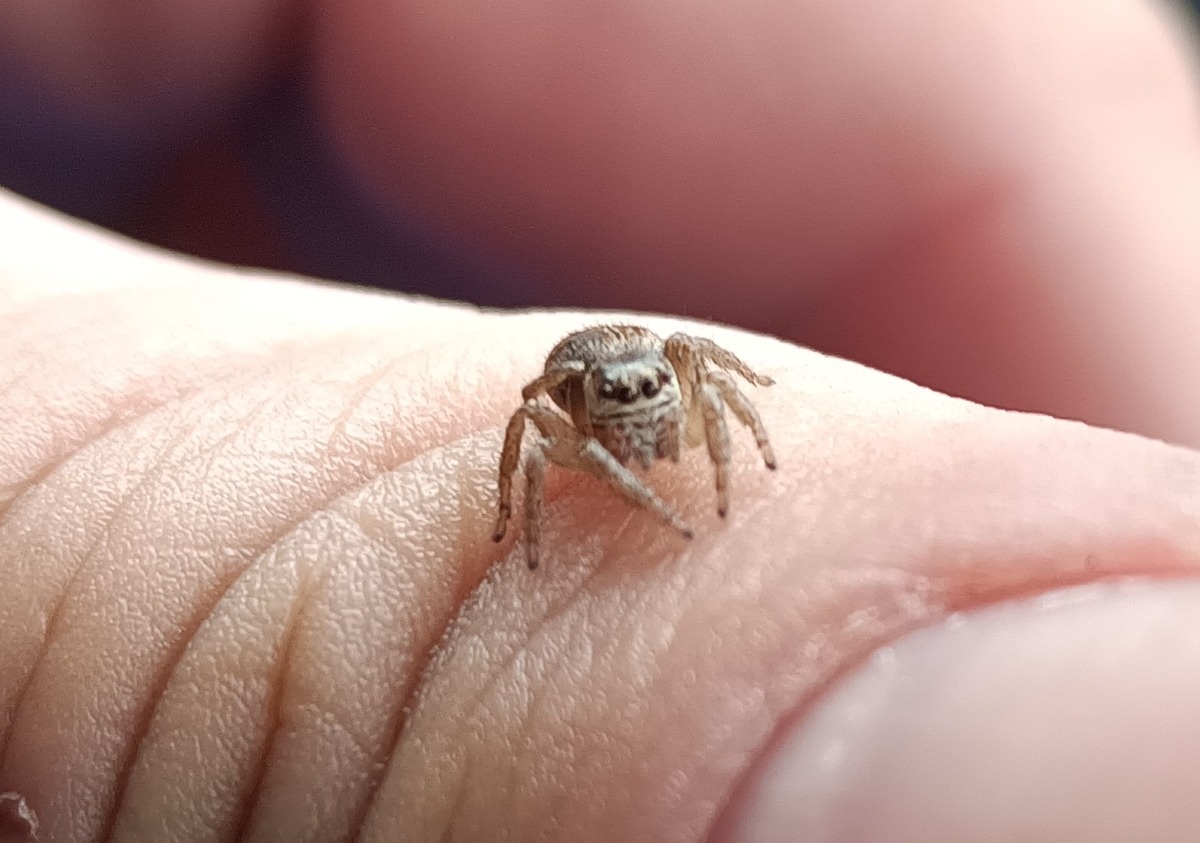 541a1514-8369-4f9f-88bd-183765698336