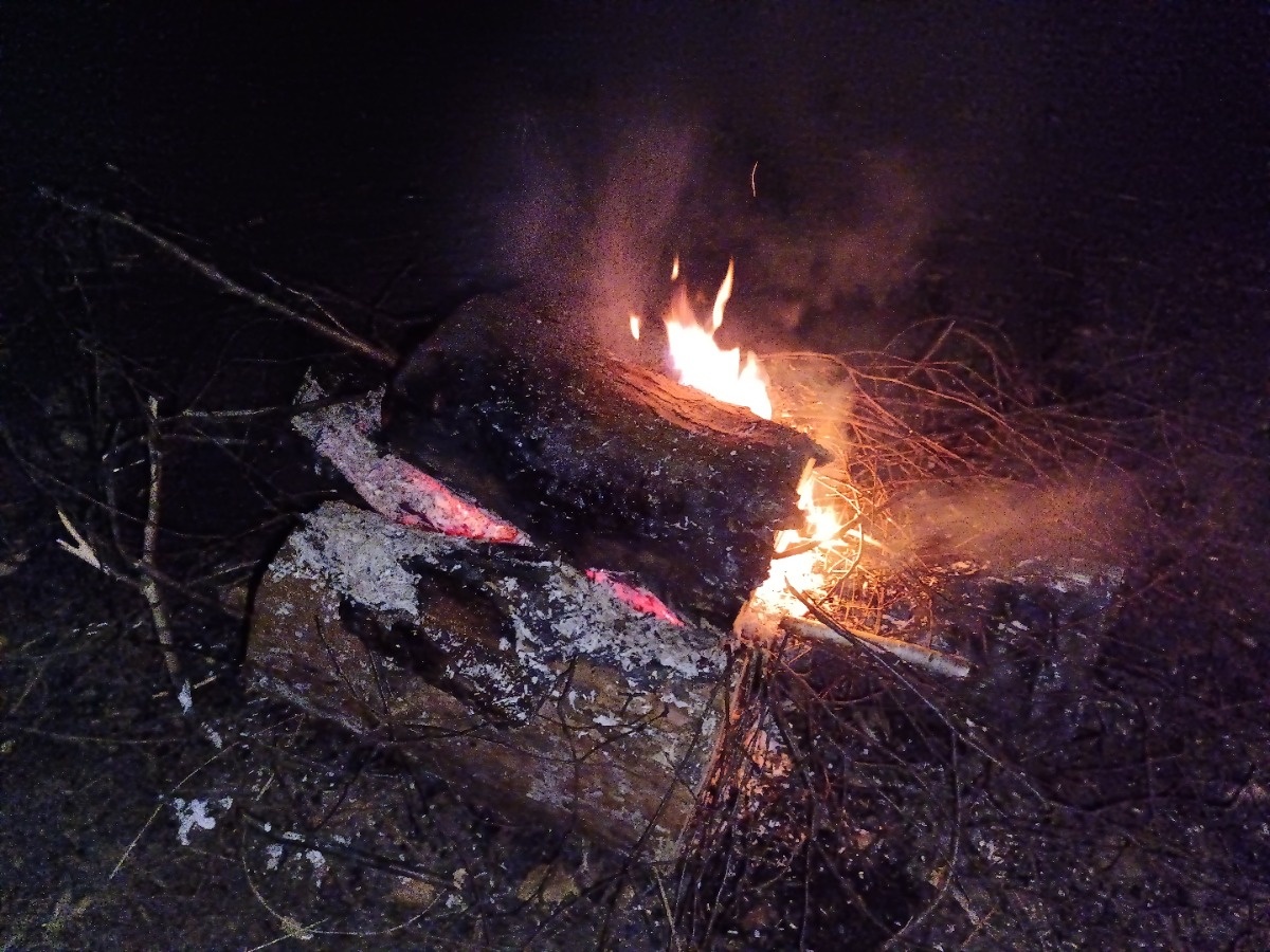 ffdd0e39-68e1-45ae-bb06-f29becdcd4f9