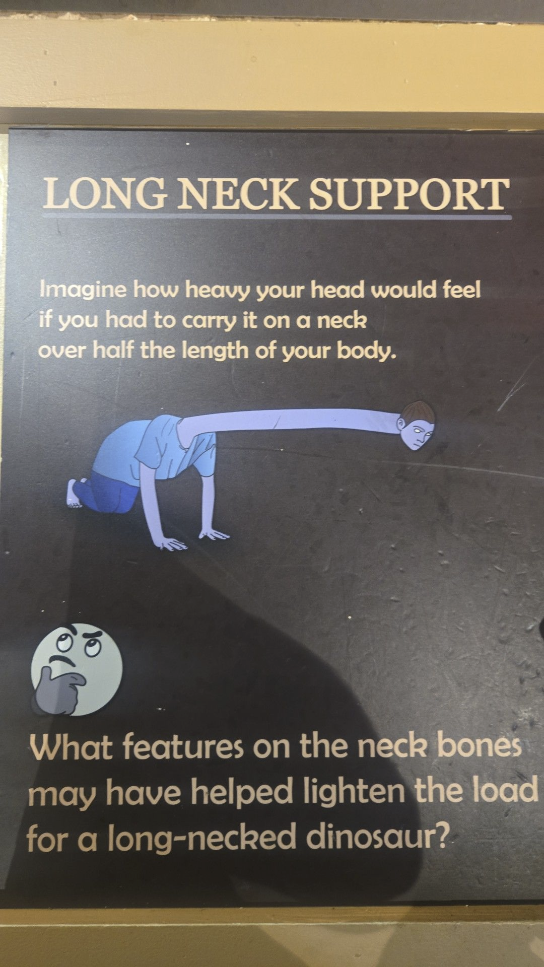 95c5e22f-f05d-47c8-8f45-a2e344a3b866