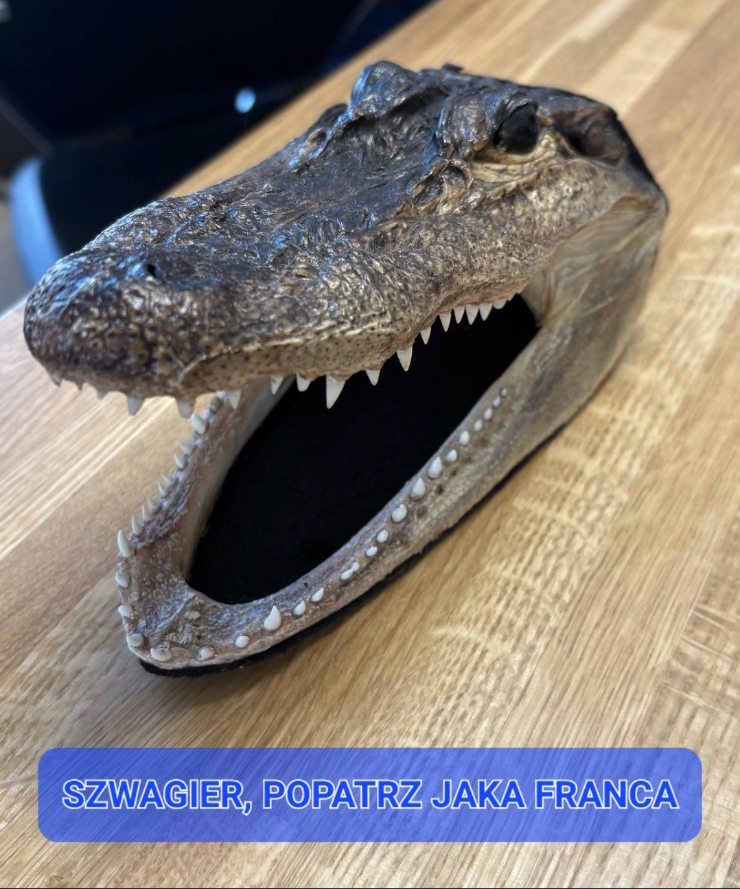 dddf56ed-c2e4-426b-a5d4-f6c9c0b1db5d