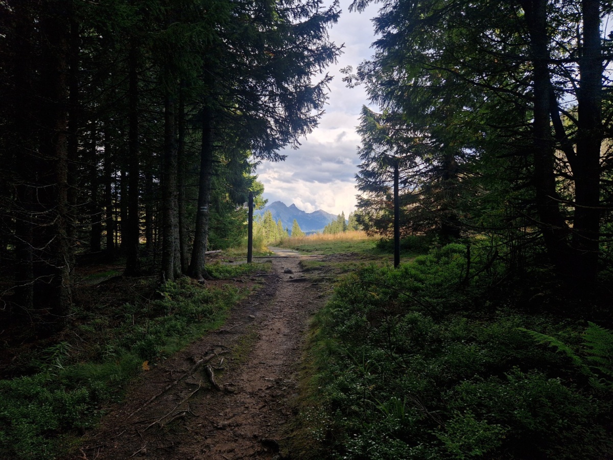 17f84c7e-e2be-4544-9100-67981fab5624