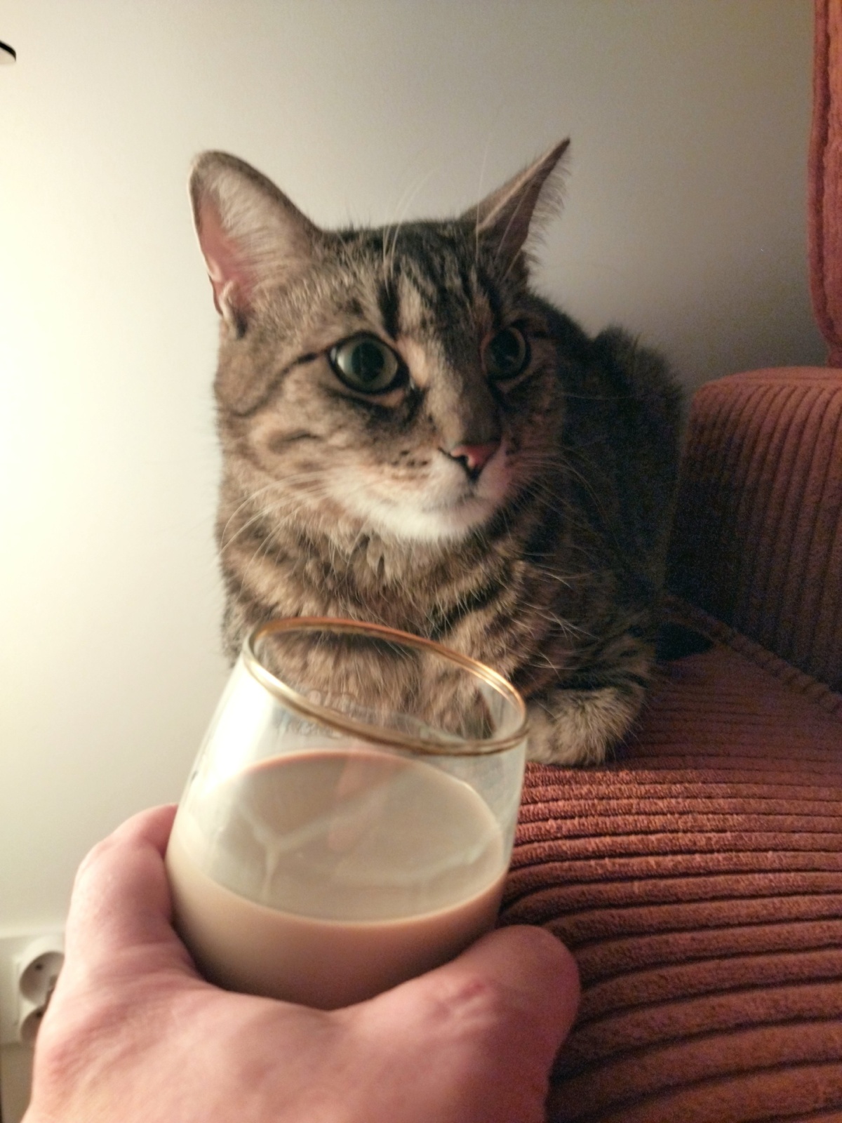 13363a0f-3571-47d6-b475-72aea85f5b9e