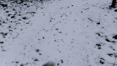 81c3f378-c0dc-4cbc-943b-5afe26955163