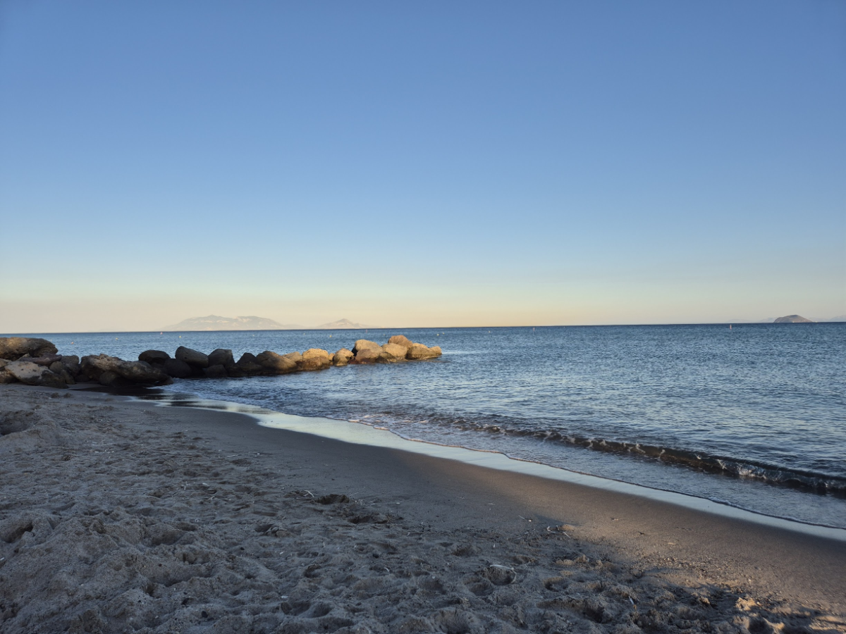 a14bcba4-2709-44f8-927c-10bdfe9b49e9