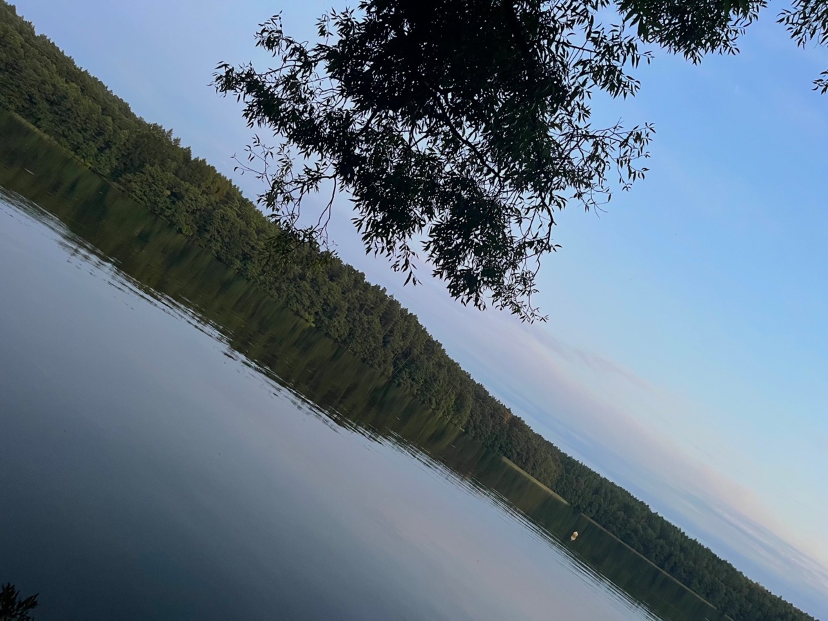 01a9ccf9-d7a8-450c-b325-9710c7275acd