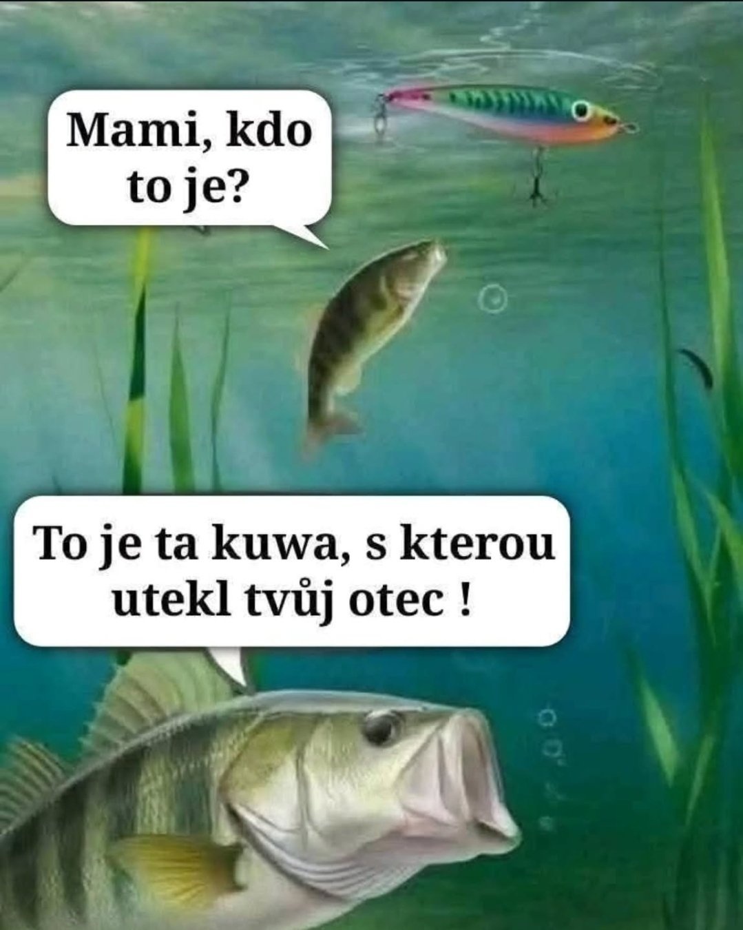 a30f6f72-f496-41e2-9526-96af7f80b4a0