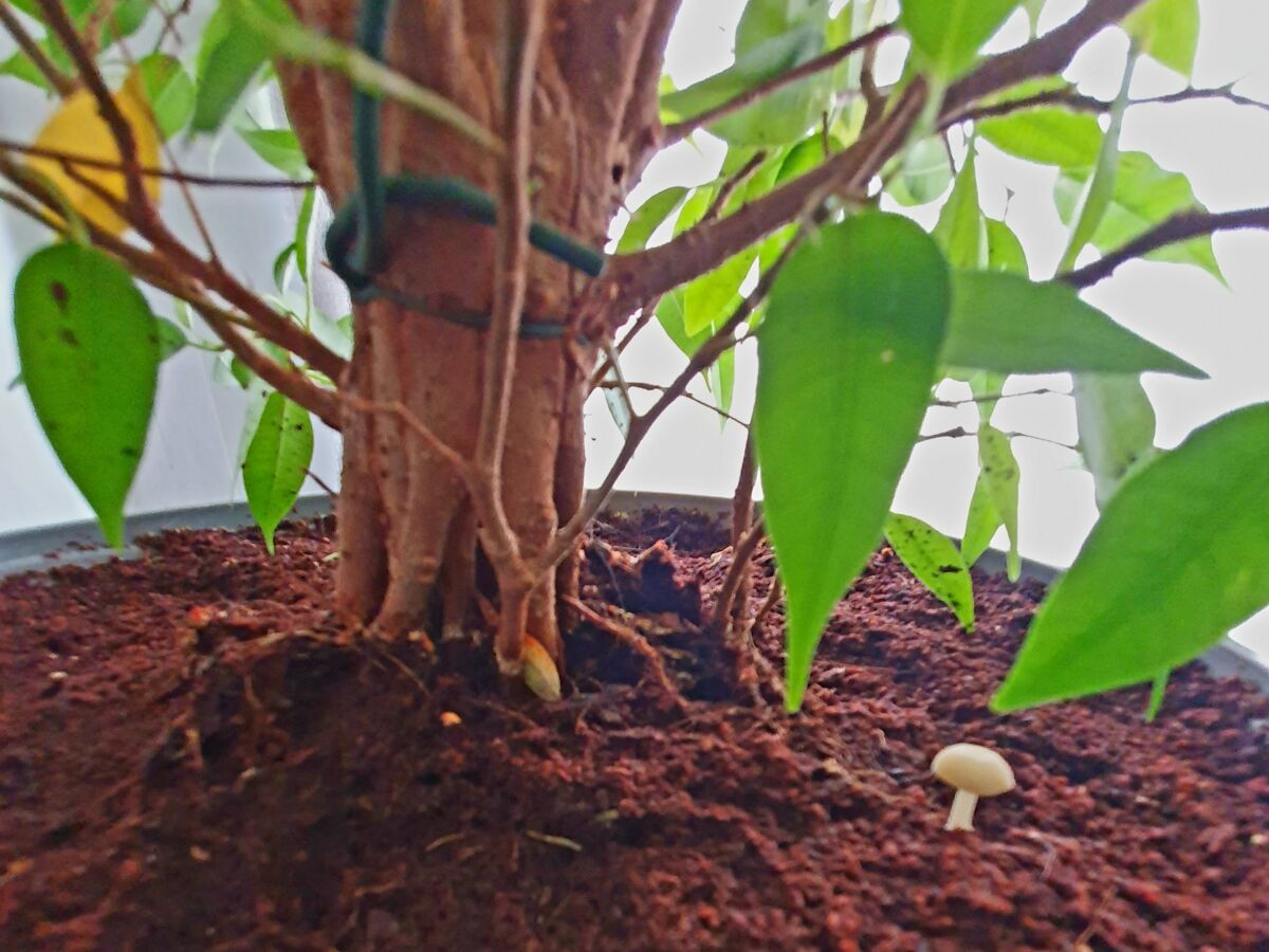 90311ba6-6fa9-4922-8e34-f7932d1585ab