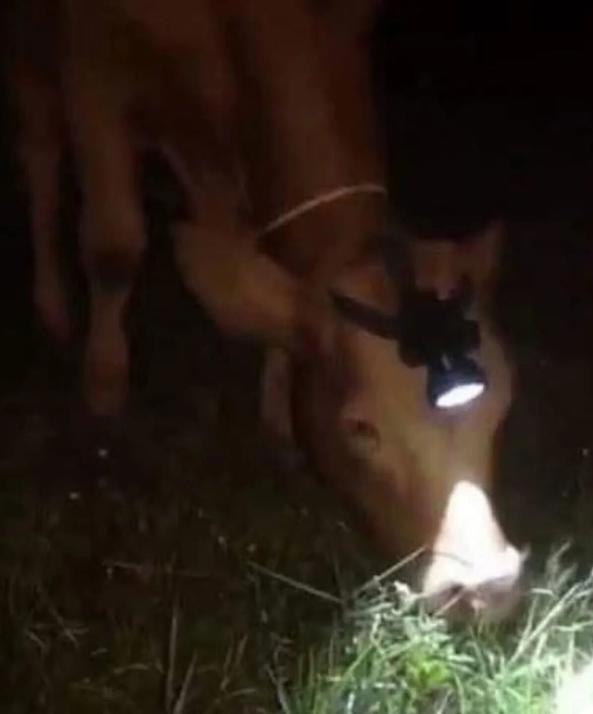 f713178a-c2a7-4a00-abbb-d4310fd16664