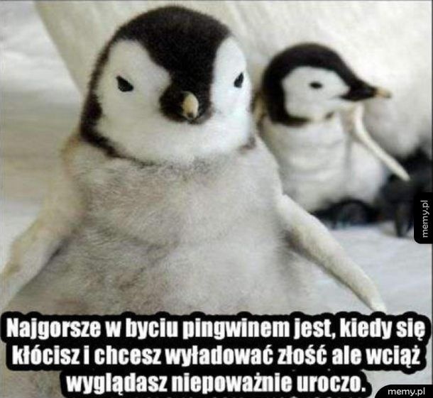 5e3d4b89-865d-440f-8bdc-b096eaa98cb9