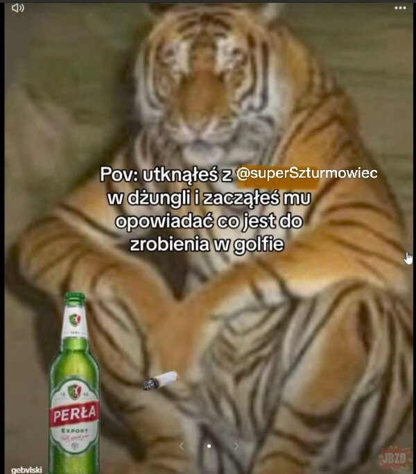 84e8f3c5-51f0-44ef-93cc-322b020b8de1