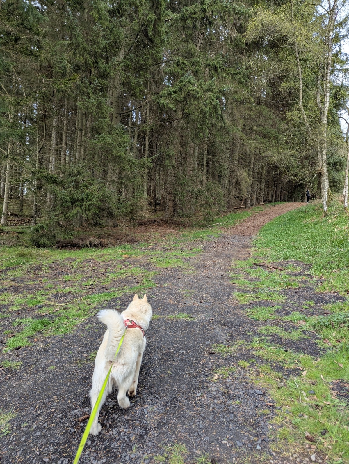 23d33cc1-4111-4feb-8545-9caafdb464b1