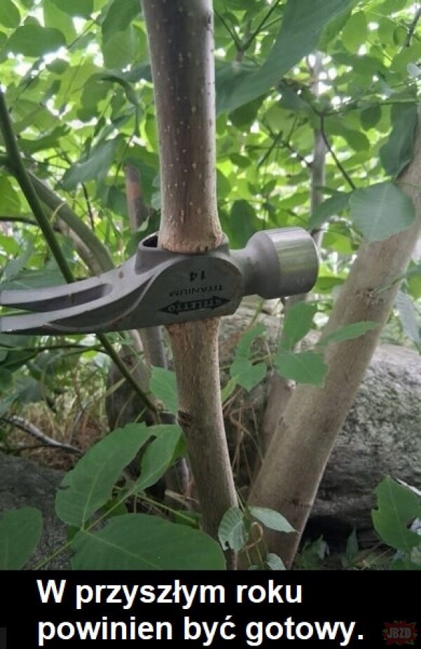 422169a3-fa86-44da-a36a-4bdadb0a8fc2