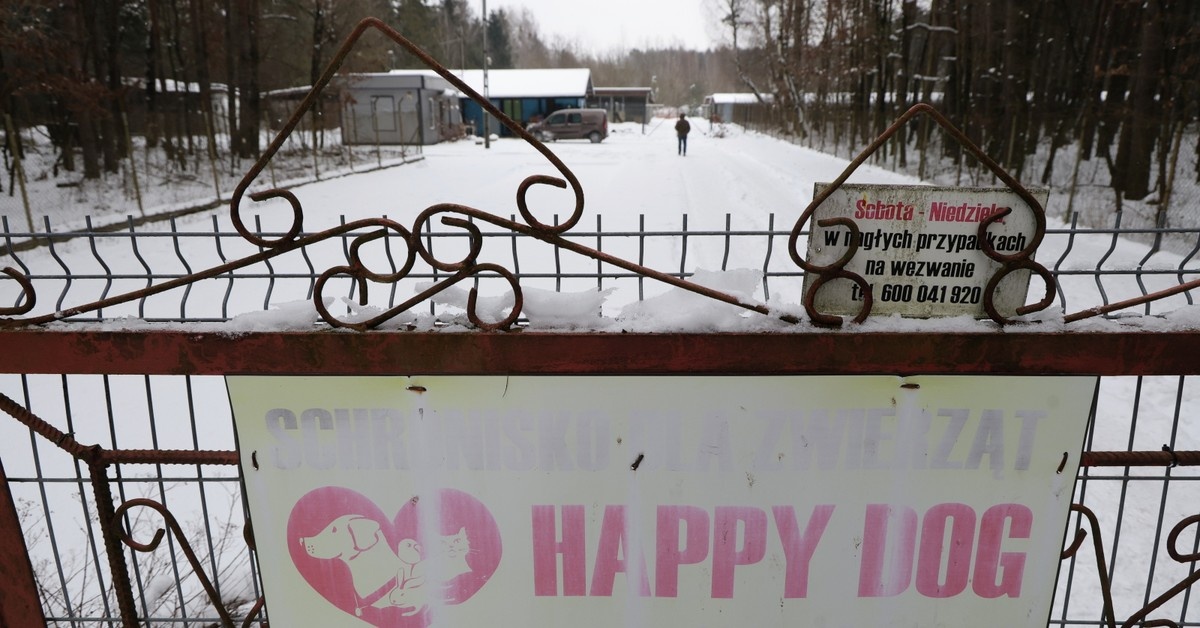 Schronisko w Sobolewie zamknięte: „Nie będzie taryfy ulgowej”