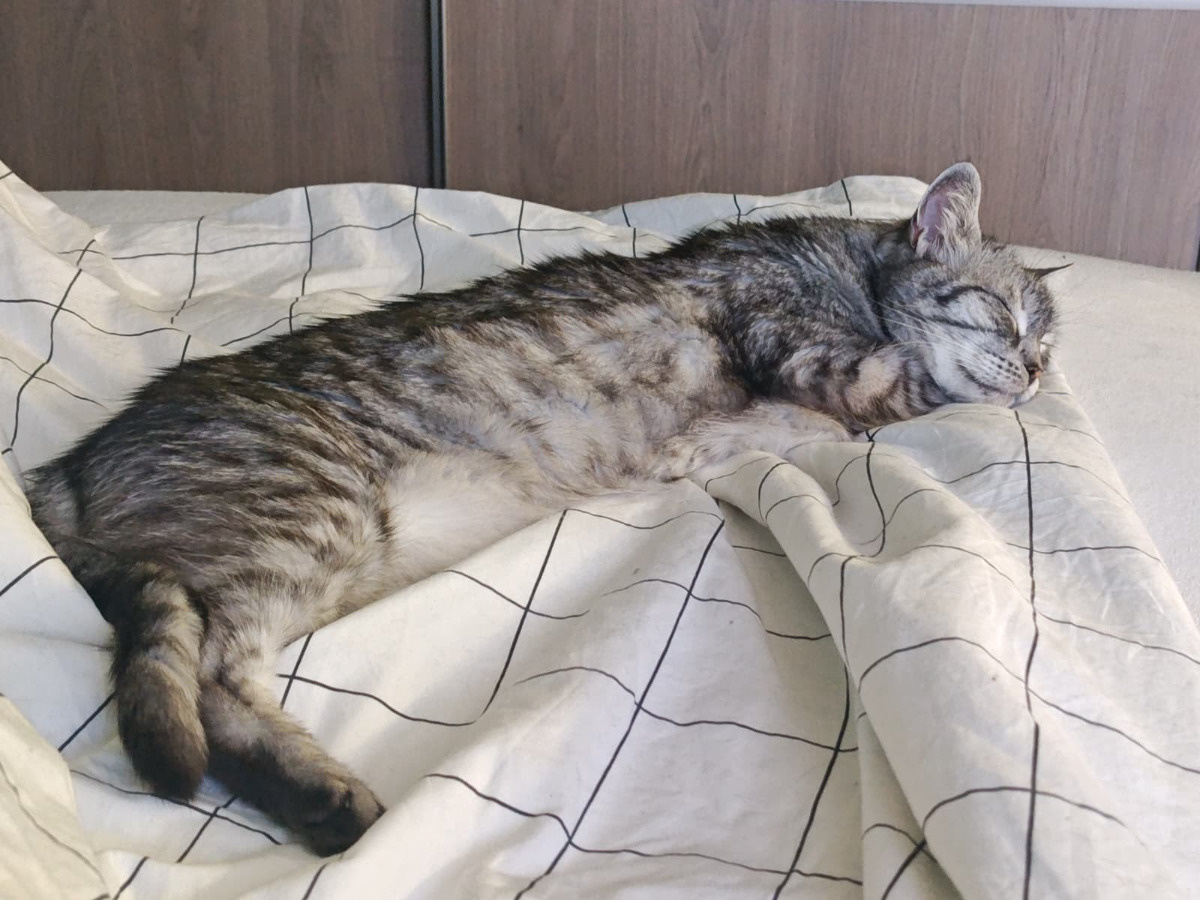 f0feb0c2-3e45-4f56-8e10-721b59681fd3