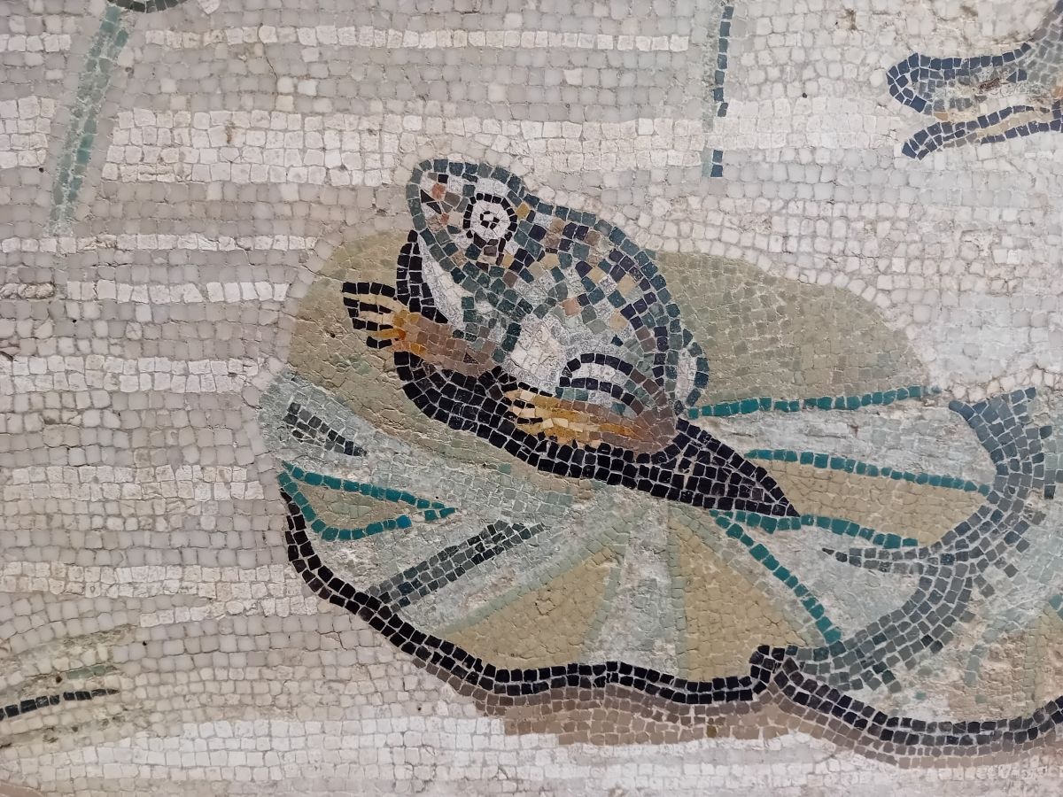 dccade3c-2089-447a-bdc2-3de3b51fca3b