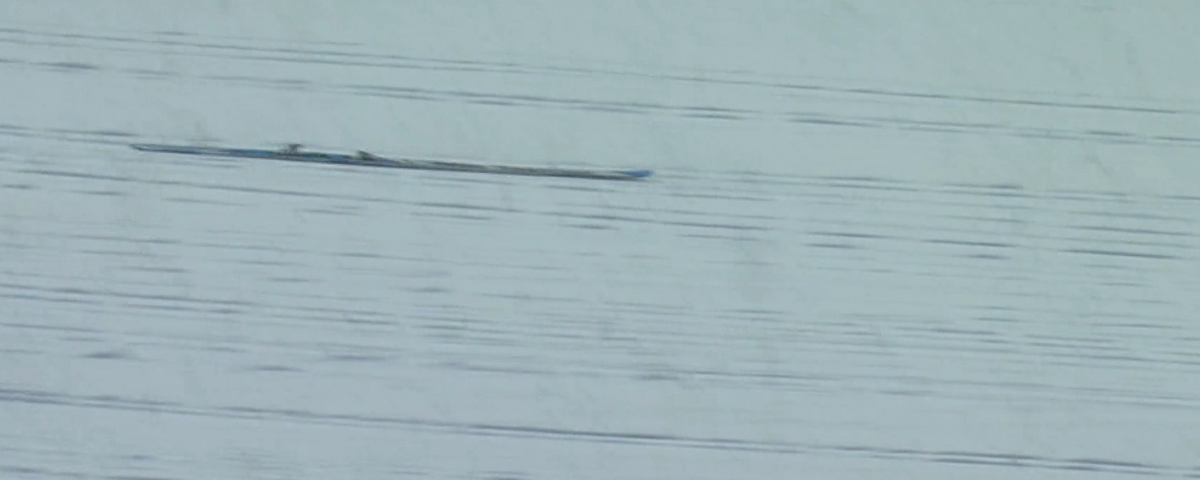 e6c30db1-7fe7-4e48-a586-3ce1afc716bb