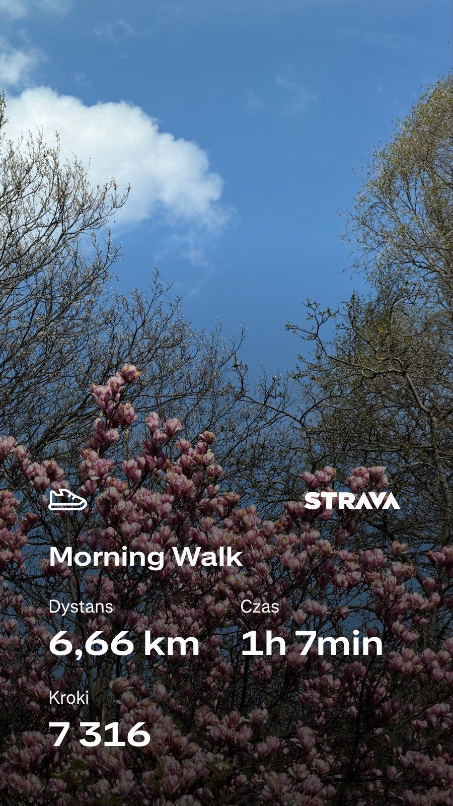 ae6e6958-d7eb-4601-9f93-f559513cb4eb