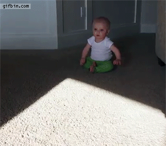 f72f79a2-9ec1-487c-bb1d-9129a24dc91b