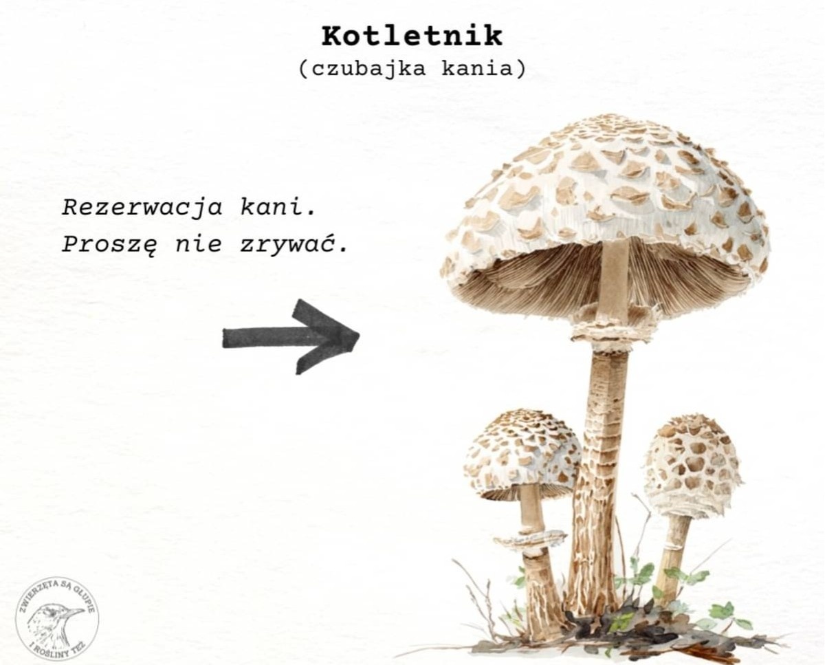 8fb0dc45-3a07-4351-8f41-406dcead7f9d