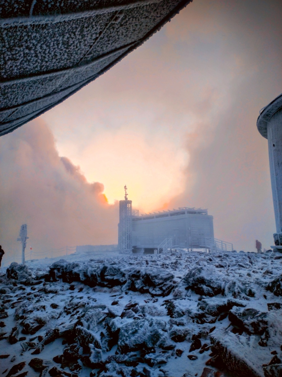 99b77f91-d3cf-4114-b570-e50a939b529b