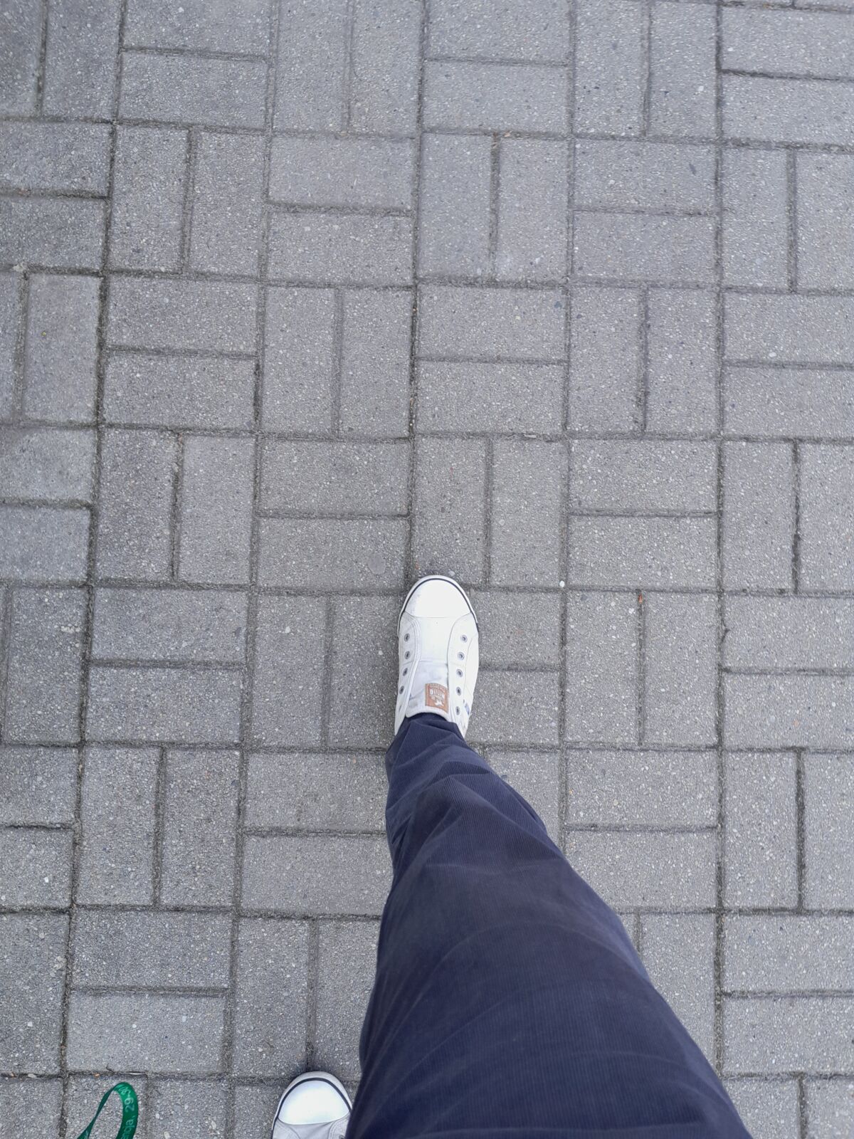 21ce13ad-9e47-4c12-9150-4192fccc4929