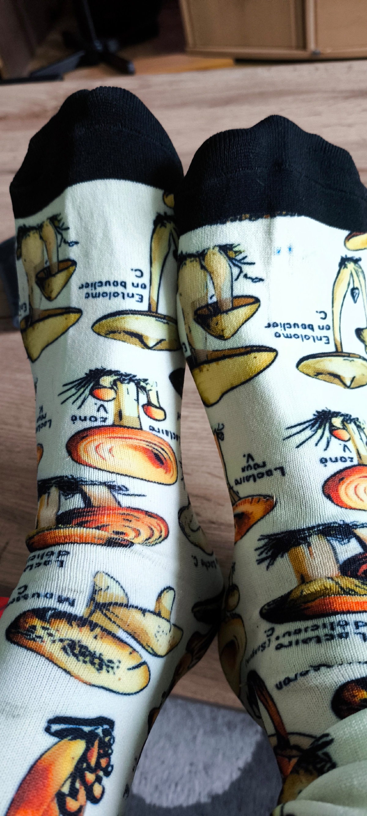 669f53af-c845-481e-9565-47f9685a6e83