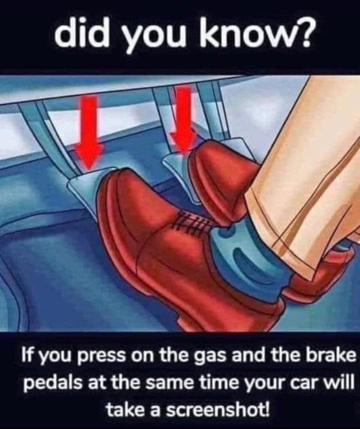 796cb5f0-d406-4fce-8c4f-0c19f296427d